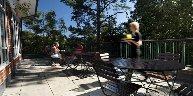 The Lodge At Meyrick Park Bournemouth Esterno foto